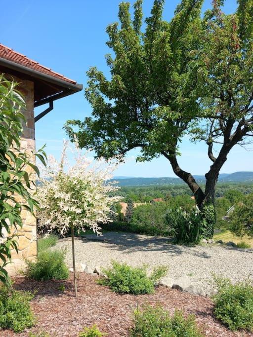 Donauresidenz Διαμέρισμα Dunabogdány Εξωτερικό φωτογραφία